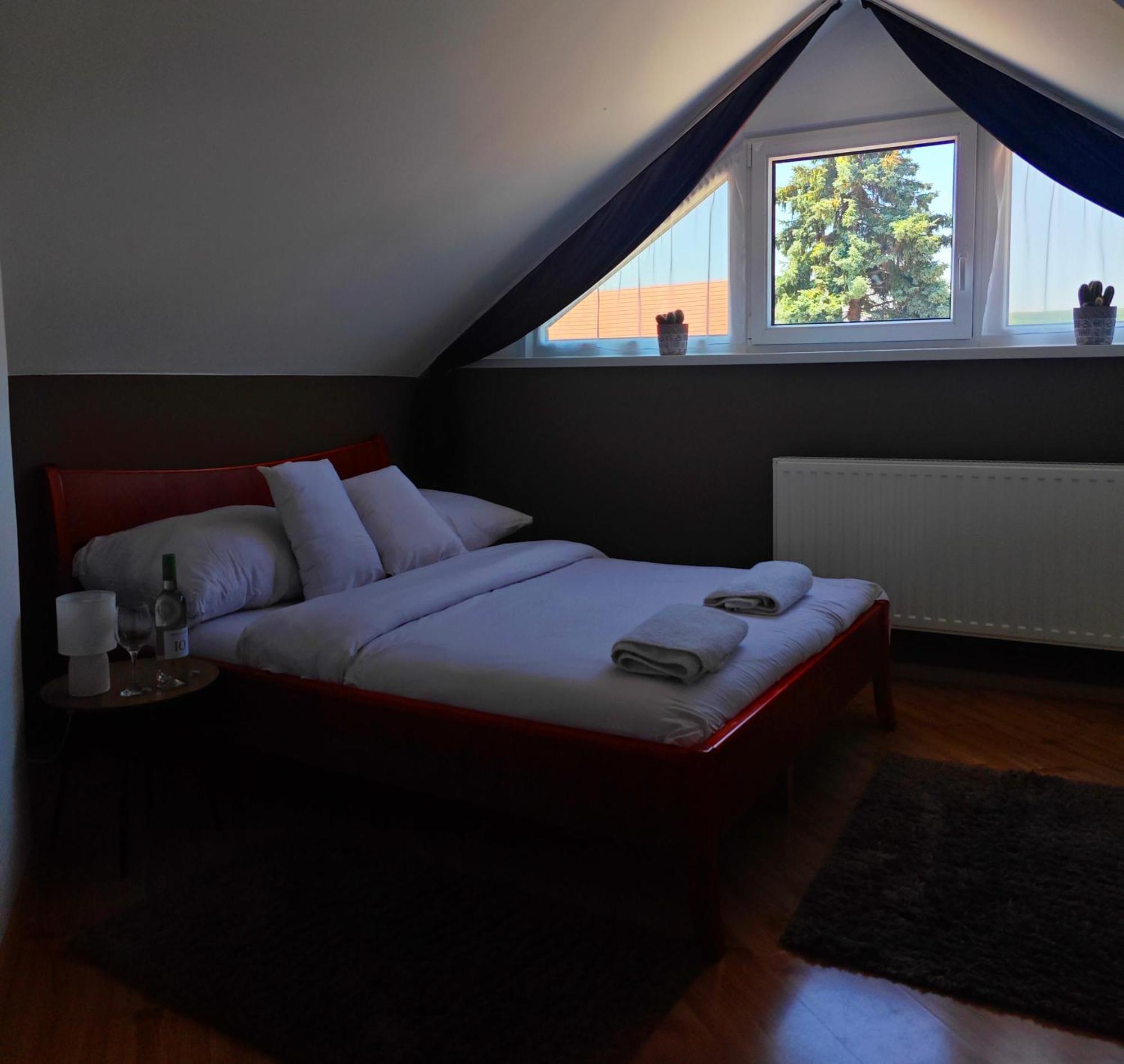 艾格扎洛克Zoeld Sziget Wellness住宿加早餐旅馆 外观 照片